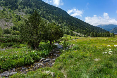 Scenic view of green landscape against sky