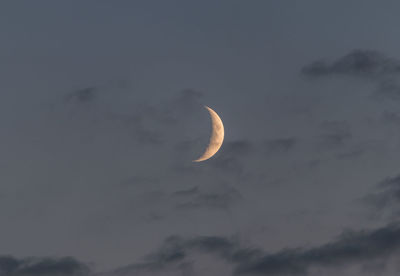 Low angle view of moon in sky