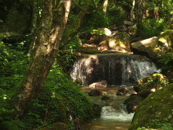 Stream flowing through rocks