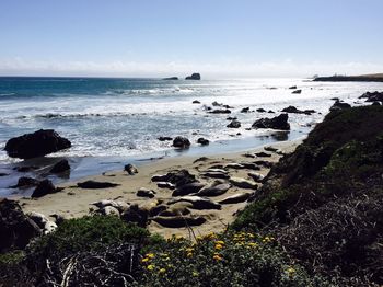 Scenic view of sea against sky