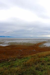 Scenic view of beach against sky