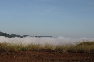 Scenic view of field against sky