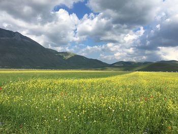 Scenic view of field against cloudy sky