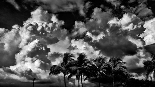 Low angle view of trees against cloudy sky