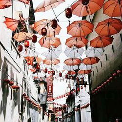 Low angle view of lanterns hanging