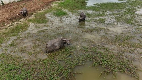 High angle view of water