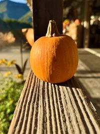 pumpkin