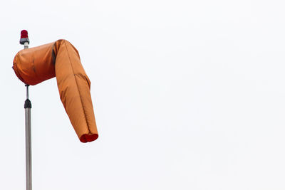 Low angle view of tree against clear sky