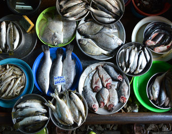 Various fish for sale in market