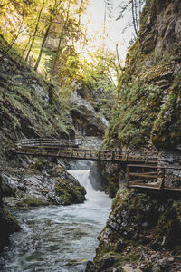 Footbridge over river at forest