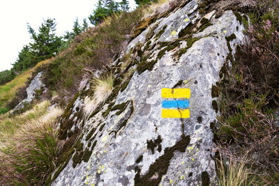 Arrow sign on rock