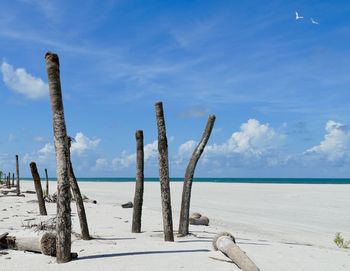 Wooden posts on beach against sky