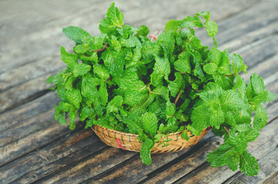 High angle view of green leaves on wooden table