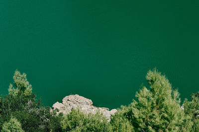 High angle view of trees by sea