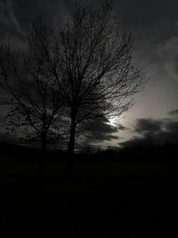 Silhouette bare tree on field against sky at dusk