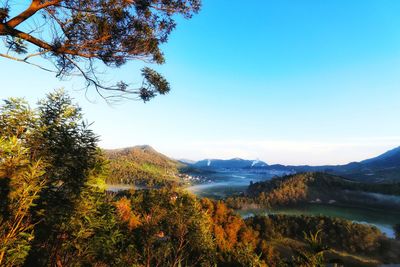 Scenic view of landscape against clear sky during autumn
