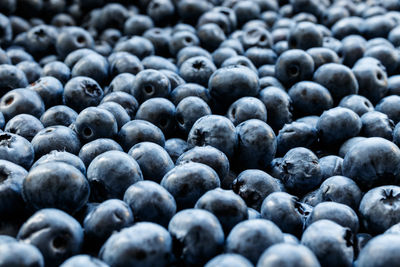 Full frame shot of blueberries