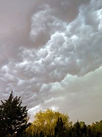 Low angle view of trees against cloudy sky