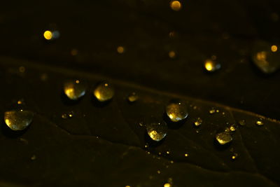 Full frame shot of water drops