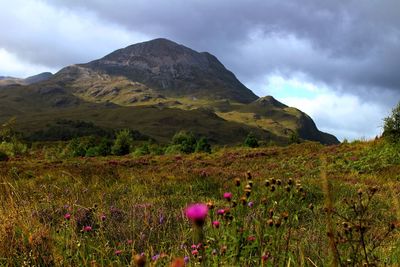 Scenic view of grassy field against cloudy sky