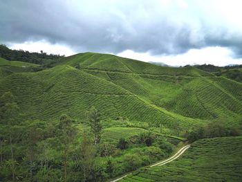 Scenic view of green landscape against sky