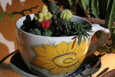 Close-up of table and potted cactus plants