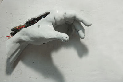 High angle view of white animal representation on wall