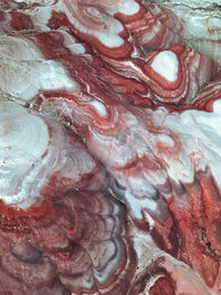 meat
