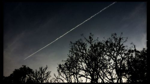 Low angle view of trees against cloudy sky