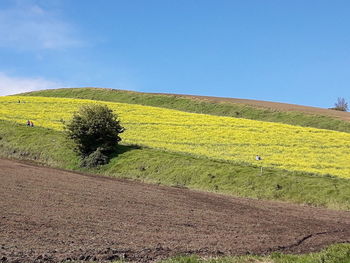 Scenic view of field against sky