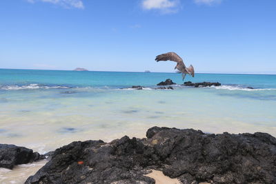 Scenic view of sea against sky