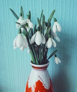 Close-up of white snowdrops in vase against wall