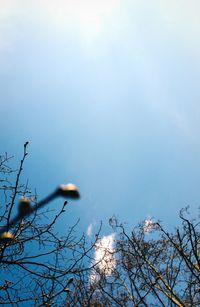 Low angle view of bare tree against sky