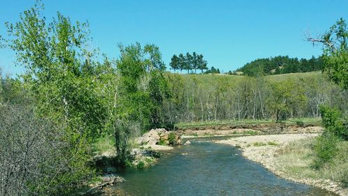 Scenic view of landscape against clear sky