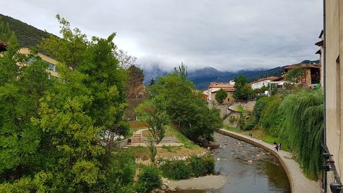Trees in town against cloudy sky