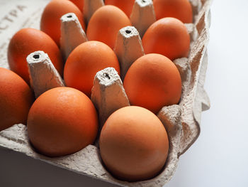 High angle view of eggs in container