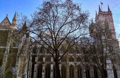 Low angle view of trees and building against sky