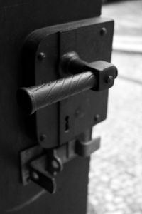 Close-up of plant against blurred background