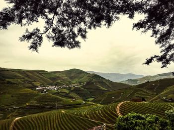 Scenic view of field against cloudy sky