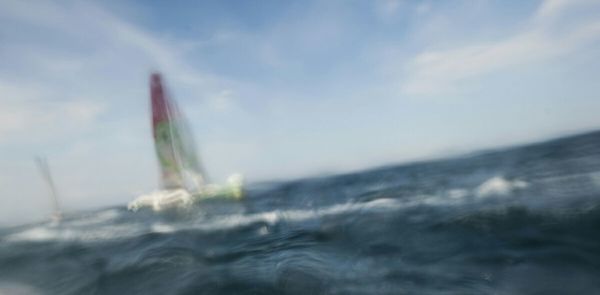 Close-up of plant against blurred background