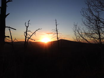 Silhouette plants on landscape against sky during sunset
