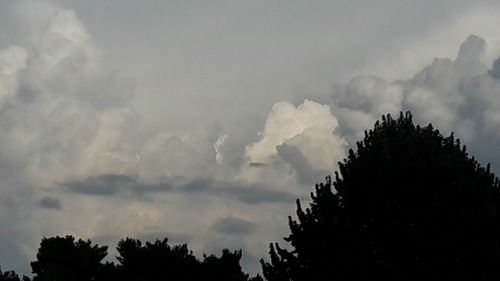 Low angle view of trees against cloudy sky