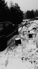 Car on road