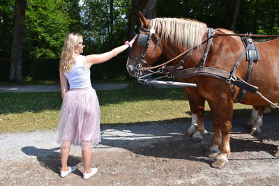 Full length of woman petting horse standing at park