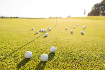 Close-up of golf balls on grass