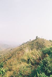 Scenic view of land against clear sky