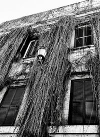 Low angle view of abandoned house