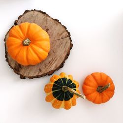 Directly above shot of pumpkins against white background