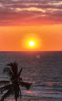 Scenic view of sea during sunset