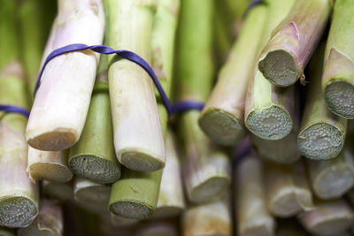 Close-up of leeks